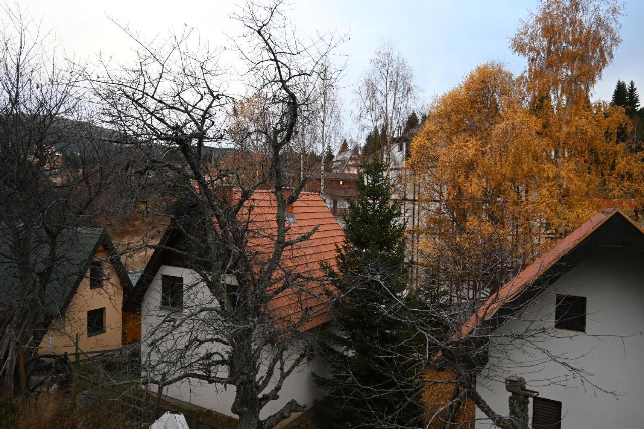 Apartman Vukasin Kopaonik Exteriör bild