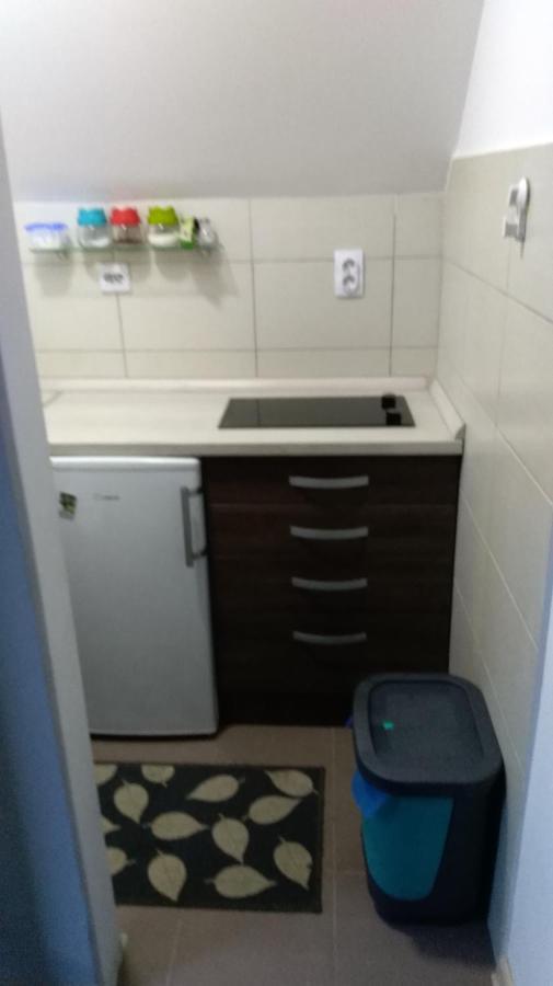 Apartman Vukasin Kopaonik Exteriör bild